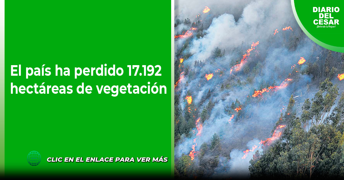 El país ha perdido 17 192 hectáreas de vegetación Diario del Cesar