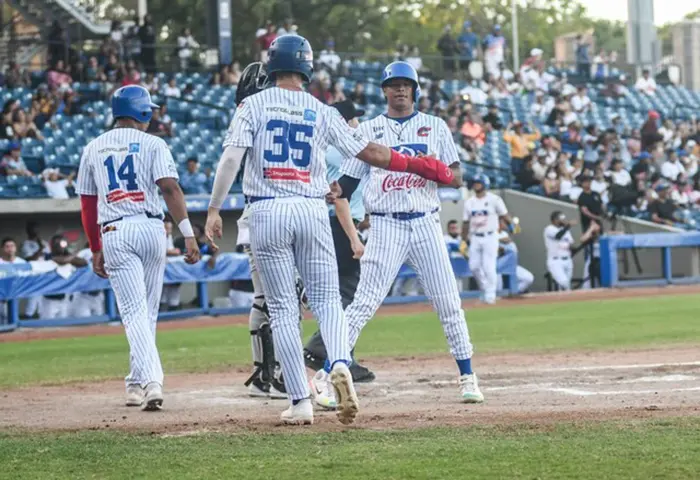 Seis Equipos Se Han Inscrito Para La Liga Profesional De Béisbol ...